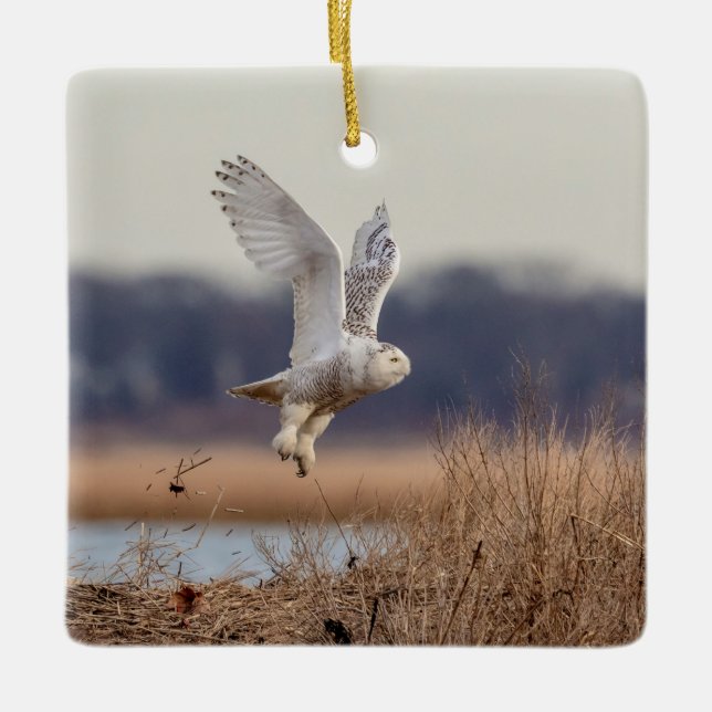 Ornamento De Cerâmica Coruja de neve decolando (Frente)