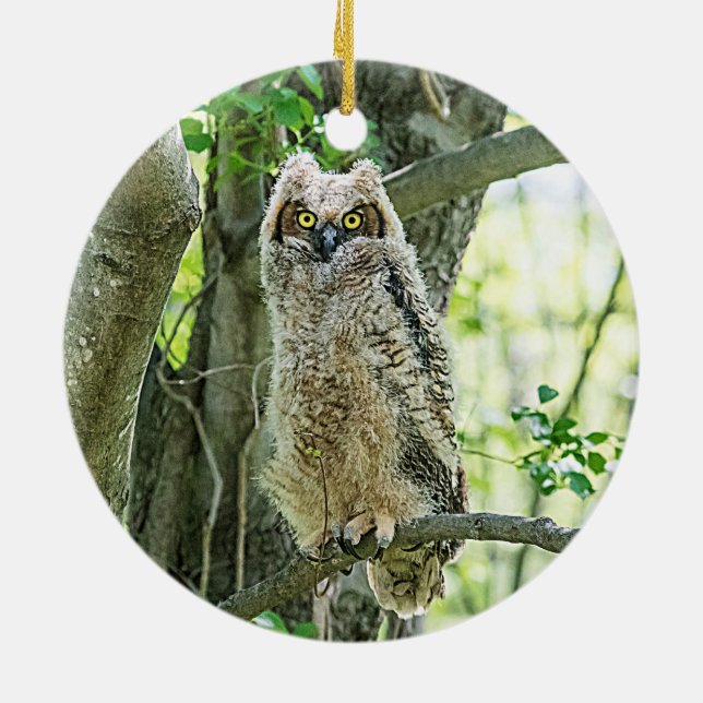 Ornamento De Cerâmica Coruja excelente (Traseira)