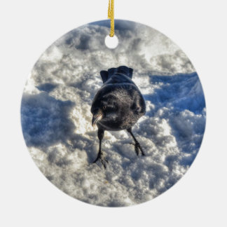 Ornamento De Cerâmica Corvo Negro em Foto de Neve