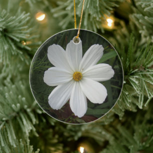 Ornamento De Cerâmica Cosmea