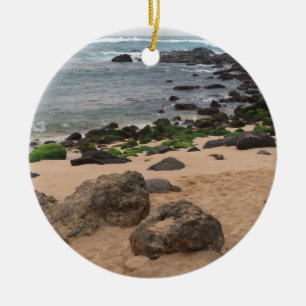 Ornamento De Cerâmica Costa Norte de Oahu e Tartaruga Marinha