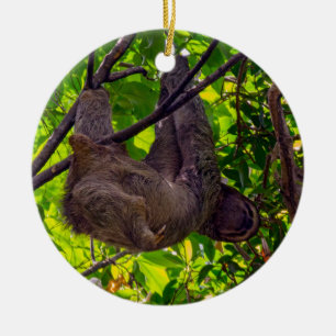 Ornamento De Cerâmica Costa Rica - Sloth Feliz