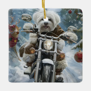 Ornamento De Cerâmica Coton De Tulear Cachorro Dirigindo Motocicleta Nat