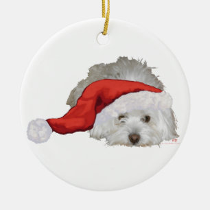 Ornamento De Cerâmica Coton de Tulear - Esperando