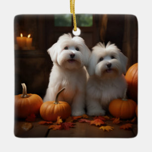 Ornamento De Cerâmica Coton De Tulear Puppy Autumn Delight Pumpkin