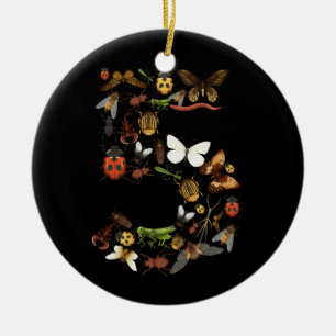 Ornamento De Cerâmica Crianças 5 Insetos de aniversário Insetam besouros
