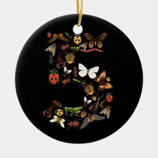 Ornamento De Cerâmica Crianças 5 Insetos de aniversário Insetam besouros (Frente)
