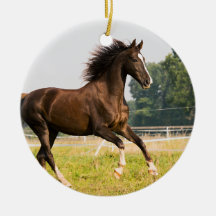 Crie a Foto do Seu Cavalo de Estimação Personaliza