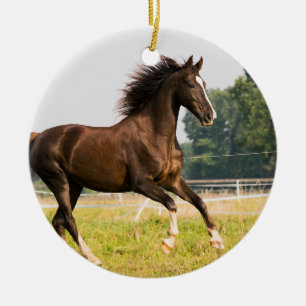 Ornamento De Cerâmica Crie a Foto do Seu Cavalo de Estimação Personaliza