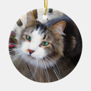 Ornamento De Cerâmica Crie Facilmente A Sua Própria Adição de 2 Fotograf