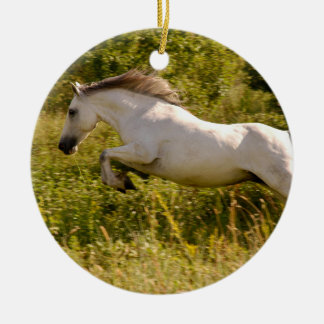 Ornamento De Cerâmica Crie Sua Própria Foto Equestre de Cavalo Personali