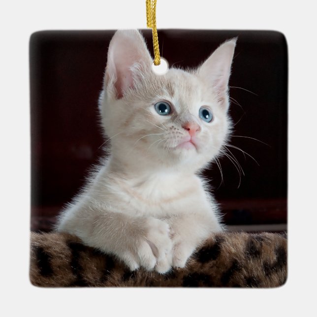 Ornamento De Cerâmica Cristóvão Branco Vulnerável (Frente)