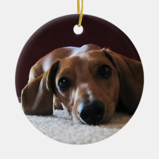 Ornamento De Cerâmica crockettsperfectpic (Frente)