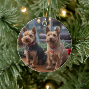 Ornamento De Cerâmica Cruzeiro de Natal do Australian Terrier: Incrível