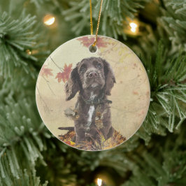Ornamento De Cerâmica Cupão de chocolate spaniel