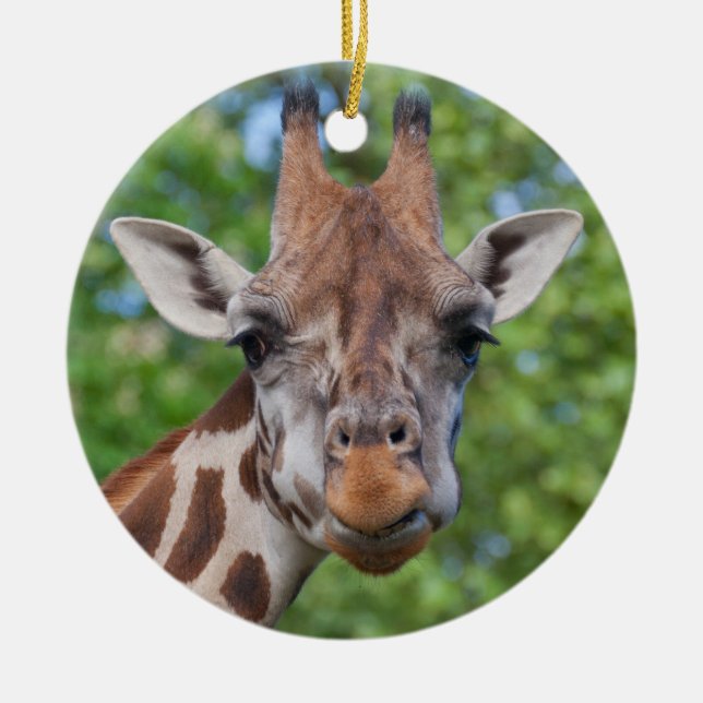 Ornamento De Cerâmica Curios Giraffe (Frente)
