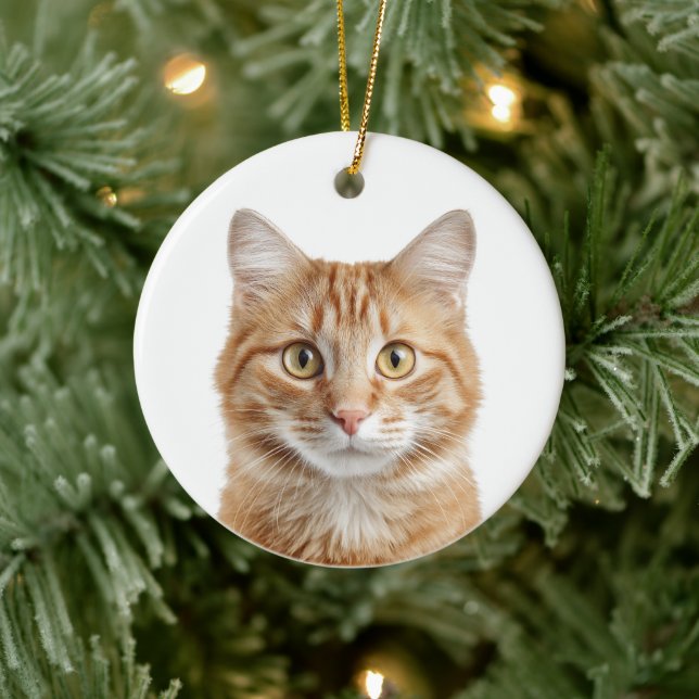 Ornamento De Cerâmica Custom Cat Photo Christmas Ornament (Árvore)