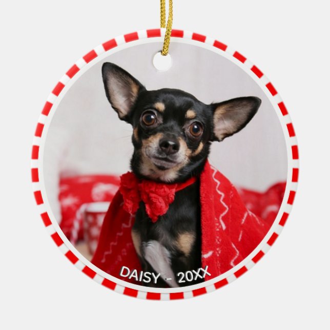 Ornamento De Cerâmica Custom Chihuahua Dog Photo with Red & White Frame (Frente)