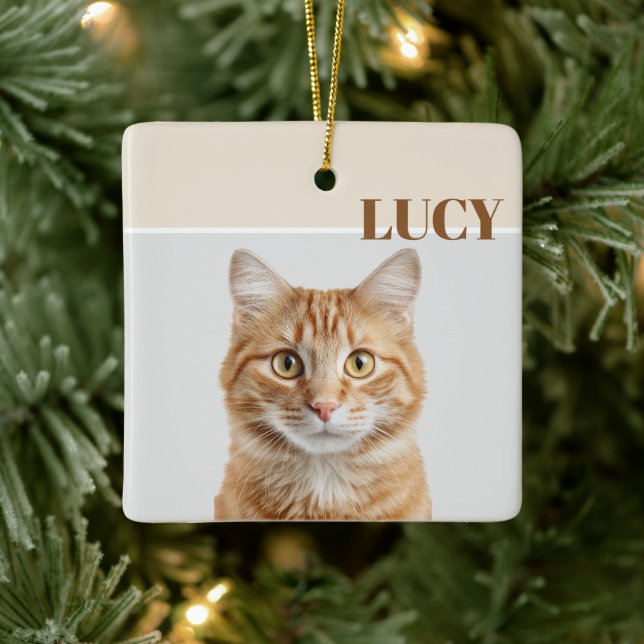 Ornamento De Cerâmica Custom Christmas Photo Ornament Cat & Name (Árvore)