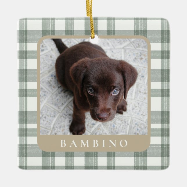 Ornamento De Cerâmica Custom Pet Photo Christmas Ornament (Frente)