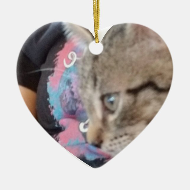 Ornamento De Cerâmica Custom Who Rescued Who Pet Name  (Frente)