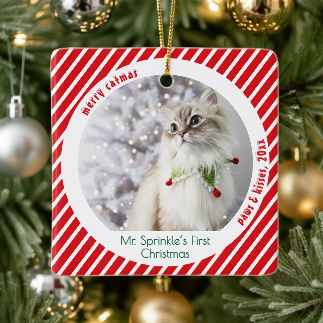 Ornamento De Cerâmica Cute Cats First Christmas Festive Keepsake  (Criador carregado)
