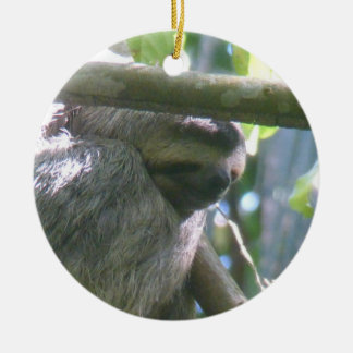 Ornamento De Cerâmica Cute Costa Rica Sloth Ornament