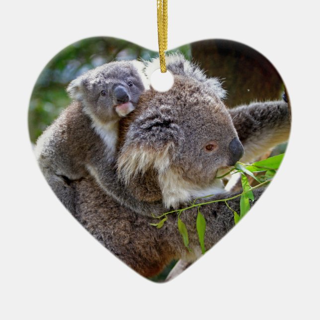 Ornamento De Cerâmica Cute Koalas (Frente)