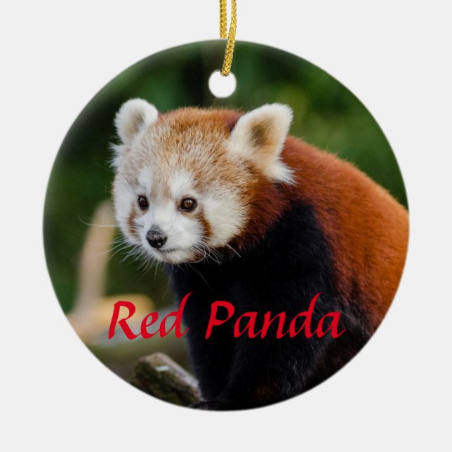 Ornamento De Cerâmica Cute Panda Vermelho Fire Fox (Frente)