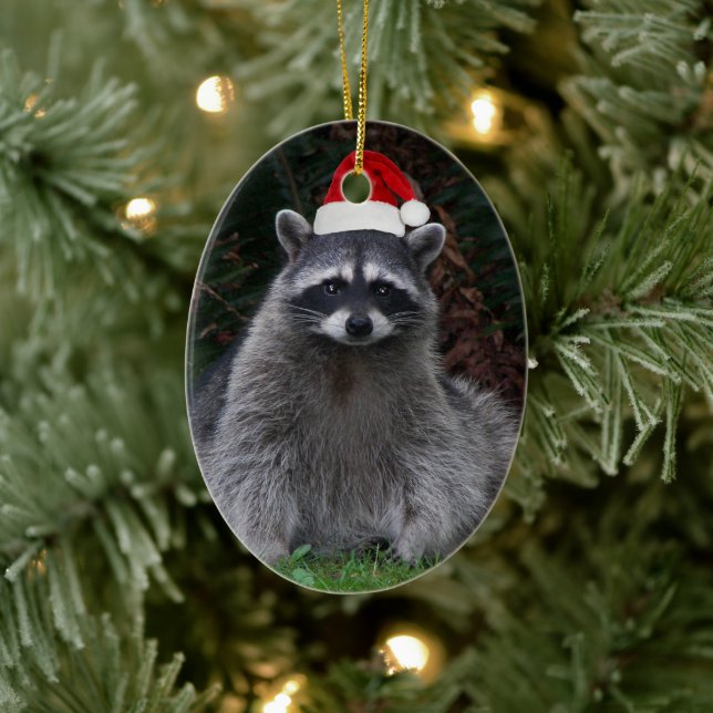 Ornamento De Cerâmica Cute Raccoon Vestindo Feriado Vermelho Santa Hat (Árvore)