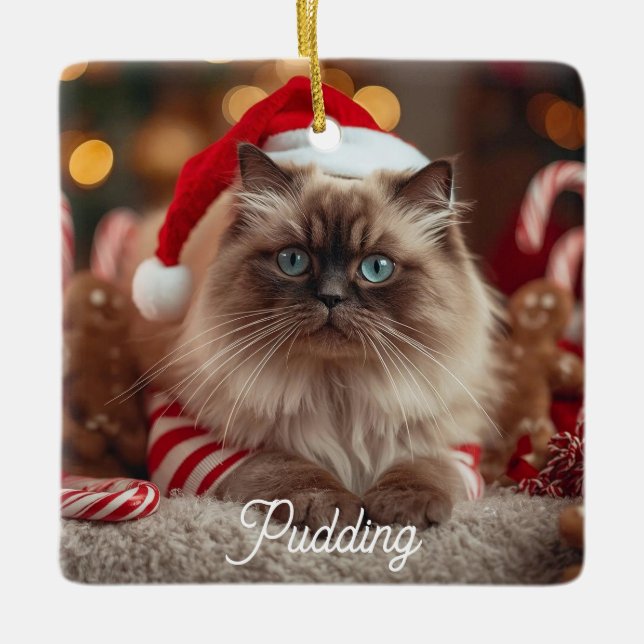 Ornamento De Cerâmica Cute Ragdoll Cat Christmas Magic Personalized  (Frente)