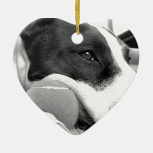 Ornamento De Cerâmica cute sad looking pitbull dog black white with ball