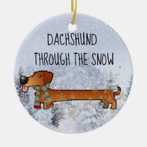 Dachshund adorável e engraçado através da neve