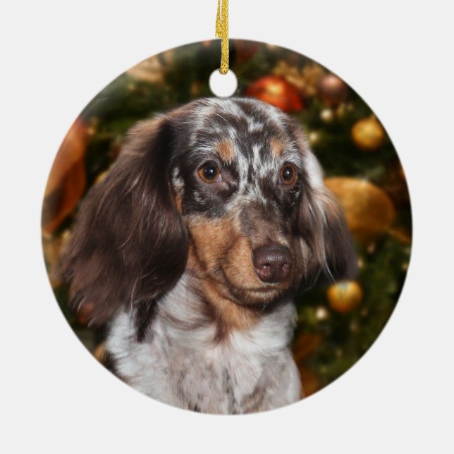 Ornamento De Cerâmica Dachshund Natal (Traseira)