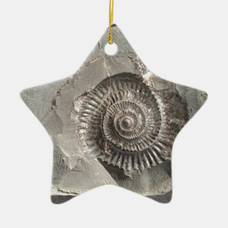 Ornamento De Cerâmica Dacitiloceras amonite em rocha