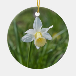 Ornamento De Cerâmica Daffodil