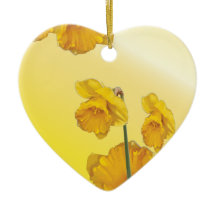 Daffodil amarelo do narciso