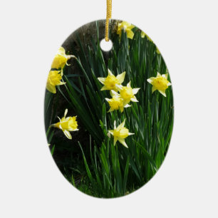 Ornamento De Cerâmica Daffodils do primavera