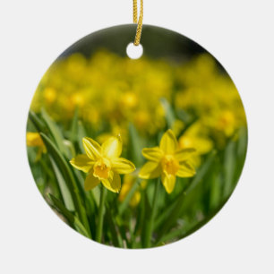 Ornamento De Cerâmica Daffodils minúsculos