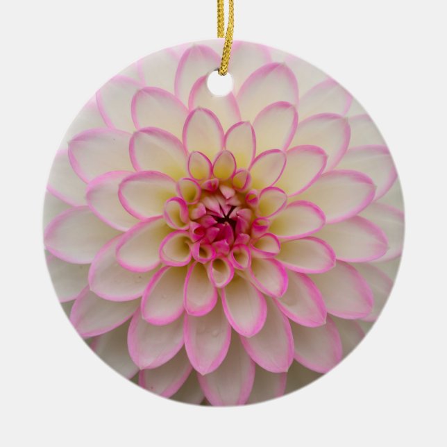 Ornamento De Cerâmica Dahlia Branca com Flor Rosa Escuro (Frente)