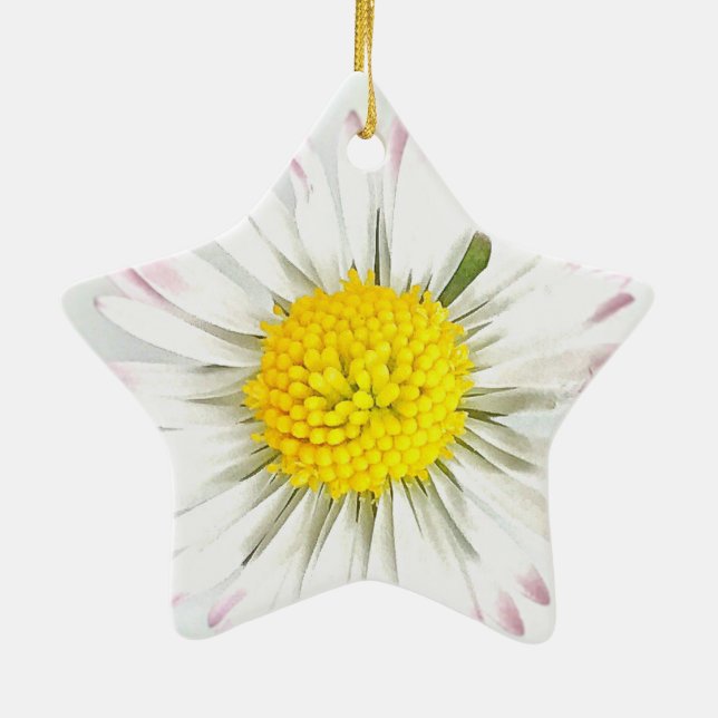 Ornamento De Cerâmica Daisy Flower Dble-Sided Star Ornament (Verso)