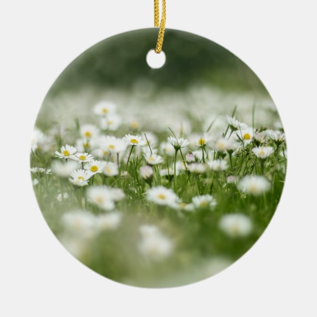 Ornamento De Cerâmica Daisy Meadow (Frente)