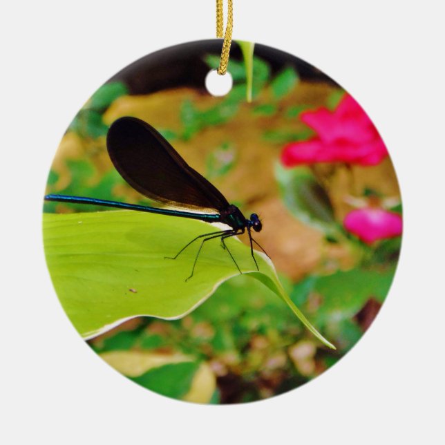 Ornamento De Cerâmica Damselfly e Rosa (Frente)