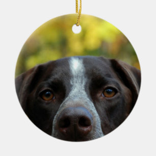 Ornamento De Cerâmica Dat Dog