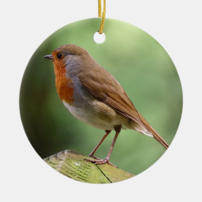 Ornamento De Cerâmica Decoração Cerâmica Robin (Frente)