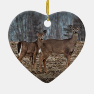 Ornamento De Cerâmica Deer_0337v