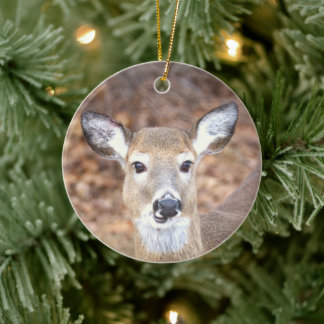 Ornamento De Cerâmica Deer Photo Ornament 
