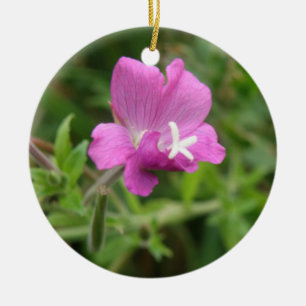 Ornamento De Cerâmica Denominação de flor selvagem de Red Campion