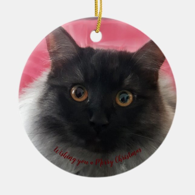 Ornamento De Cerâmica Desejando-lhe uma doce prata preta de Natal Feliz (Frente)