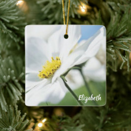 Ornamento De Cerâmica Desejos com Margaridas Brancas Personalizados